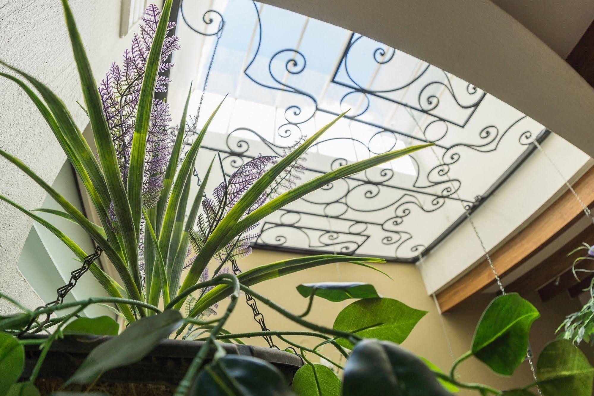 San Pietro Boutique Hotel Tlaquepaque Екстериор снимка